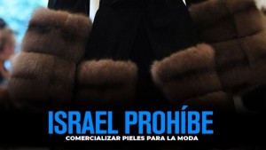 ¡Israel es el primer país del mundo en prohibir el comercio con pieles!