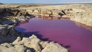 Y el agua se volvió roja