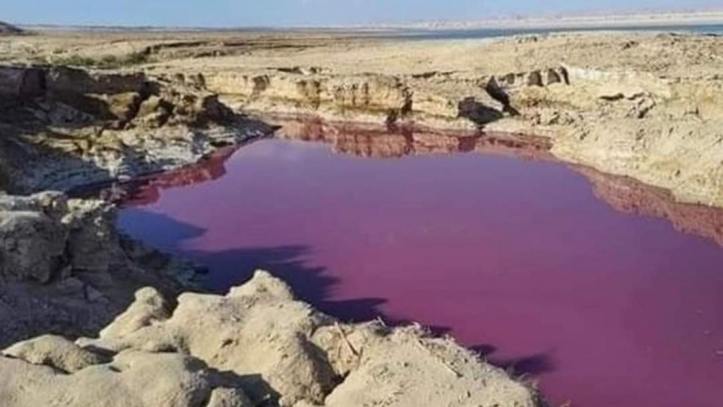 Y el agua se volvió roja