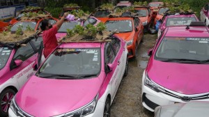 Un cementerio de autos, una huerta